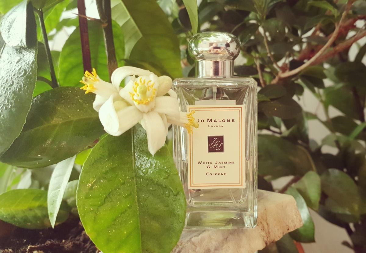 عطر ادکلن وایت جاسمین اند مینت جو مالون لندن - White Jasmine & Mint Jo Malone London - بررسی، قیمت و خرید