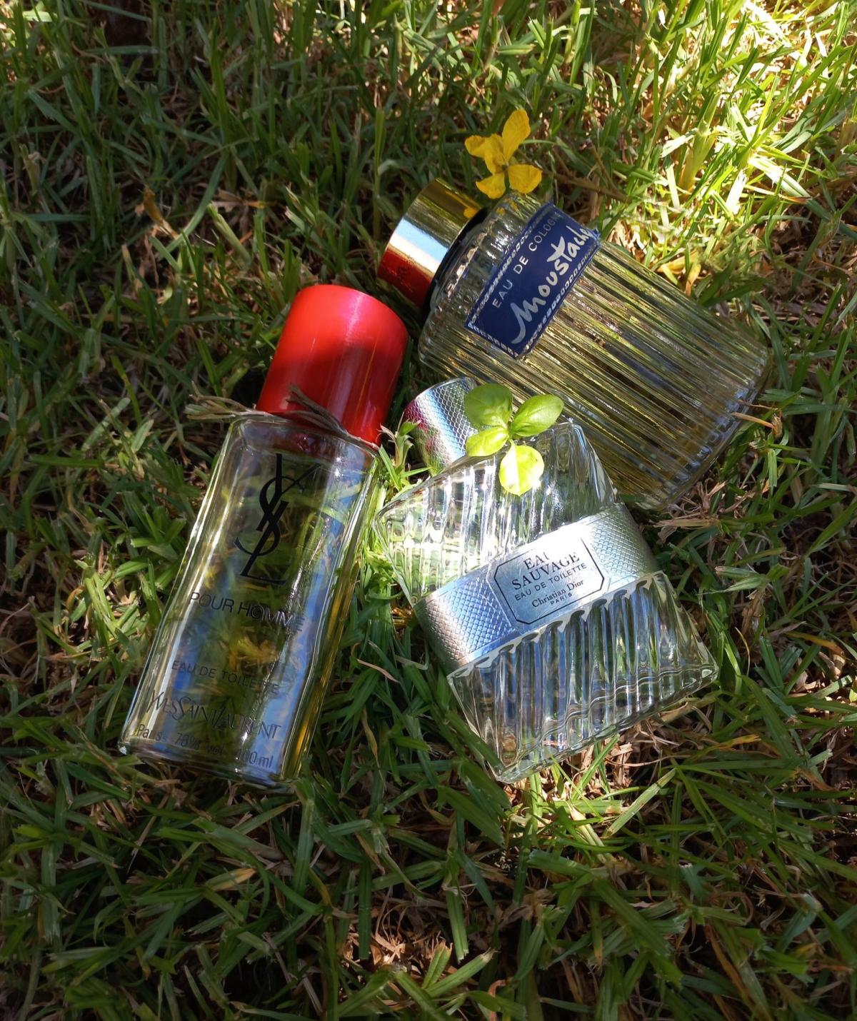 عطر ادکلن موستاش ادکلن روچاس - Moustache Eau de Cologne Rochas - بررسی، قیمت و خرید