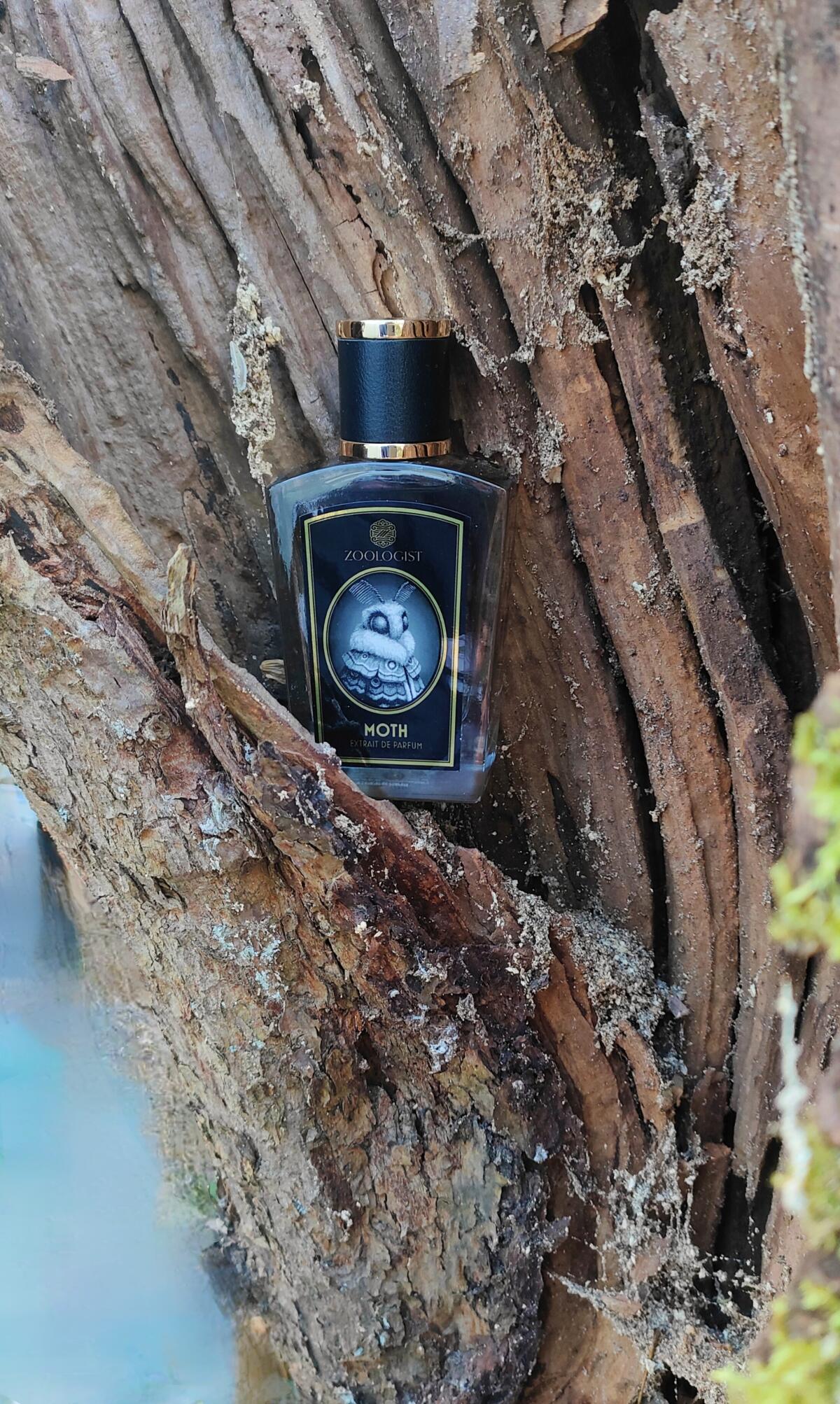 عطر ادکلن مات زولاجیست پرفیومز - Moth Zoologist Perfumes - بررسی، قیمت و خرید