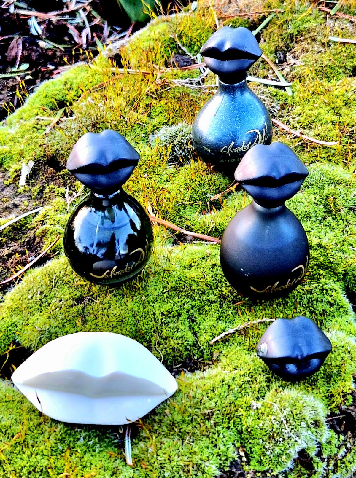 عطر ادکلن سالوادور دالی پور هوم سالوادور دالی - Salvador Dali Pour Homme Salvador Dali - بررسی، قیمت و خرید