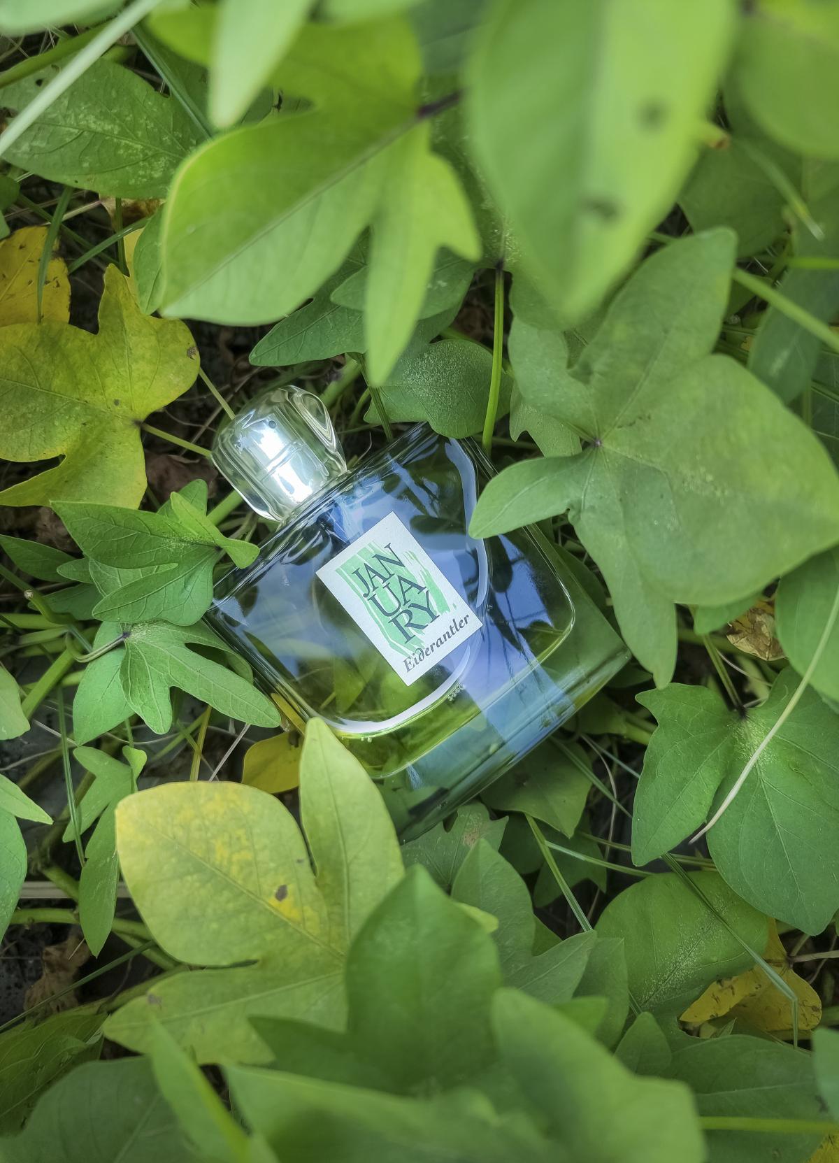 عطر ادکلن آیدِرَنتلِر جنوری سنت پراجکت - Eiderantler January Scent Project - بررسی، قیمت و خرید