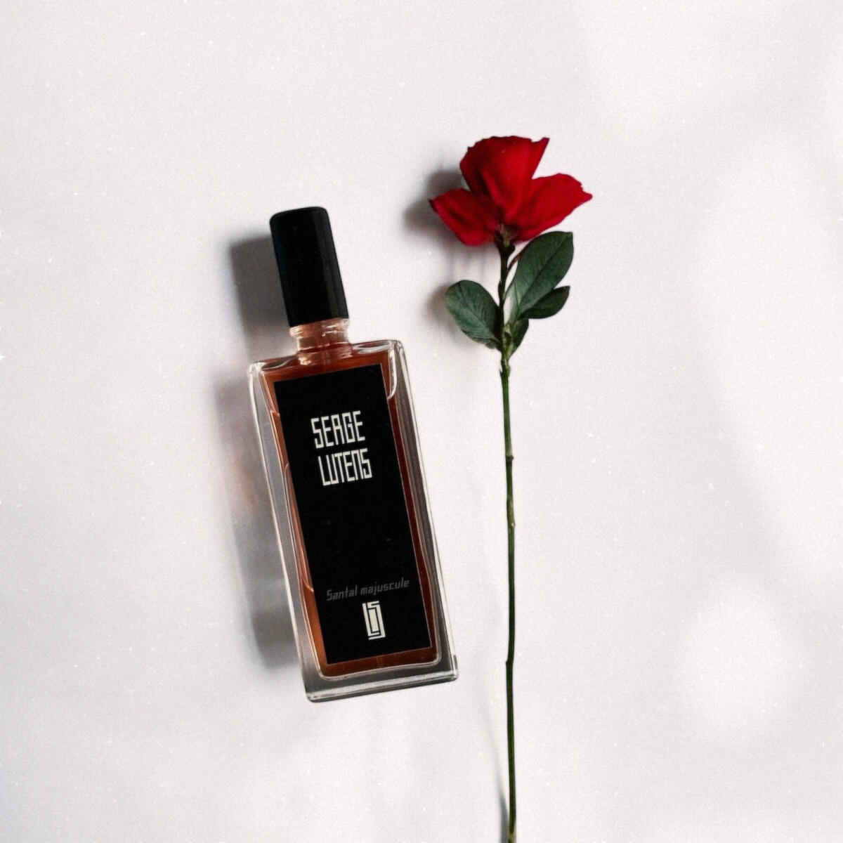 عطر ادکلن سنتال ماجوسکول سرج لوتنس - Santal Majuscule Serge Lutens - بررسی، قیمت و خرید