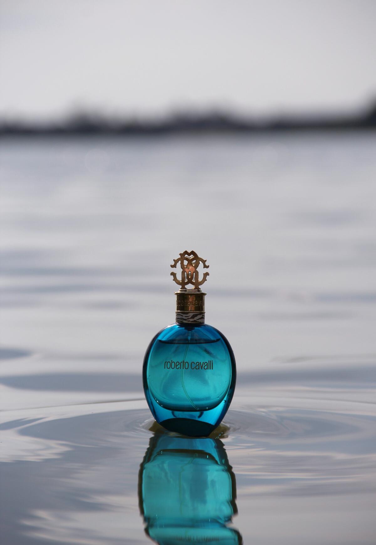 عطر ادکلن رابرتو کاوالی آکوا روبerto کاوالی - Roberto Cavalli Acqua Roberto Cavalli - بررسی، قیمت و خرید