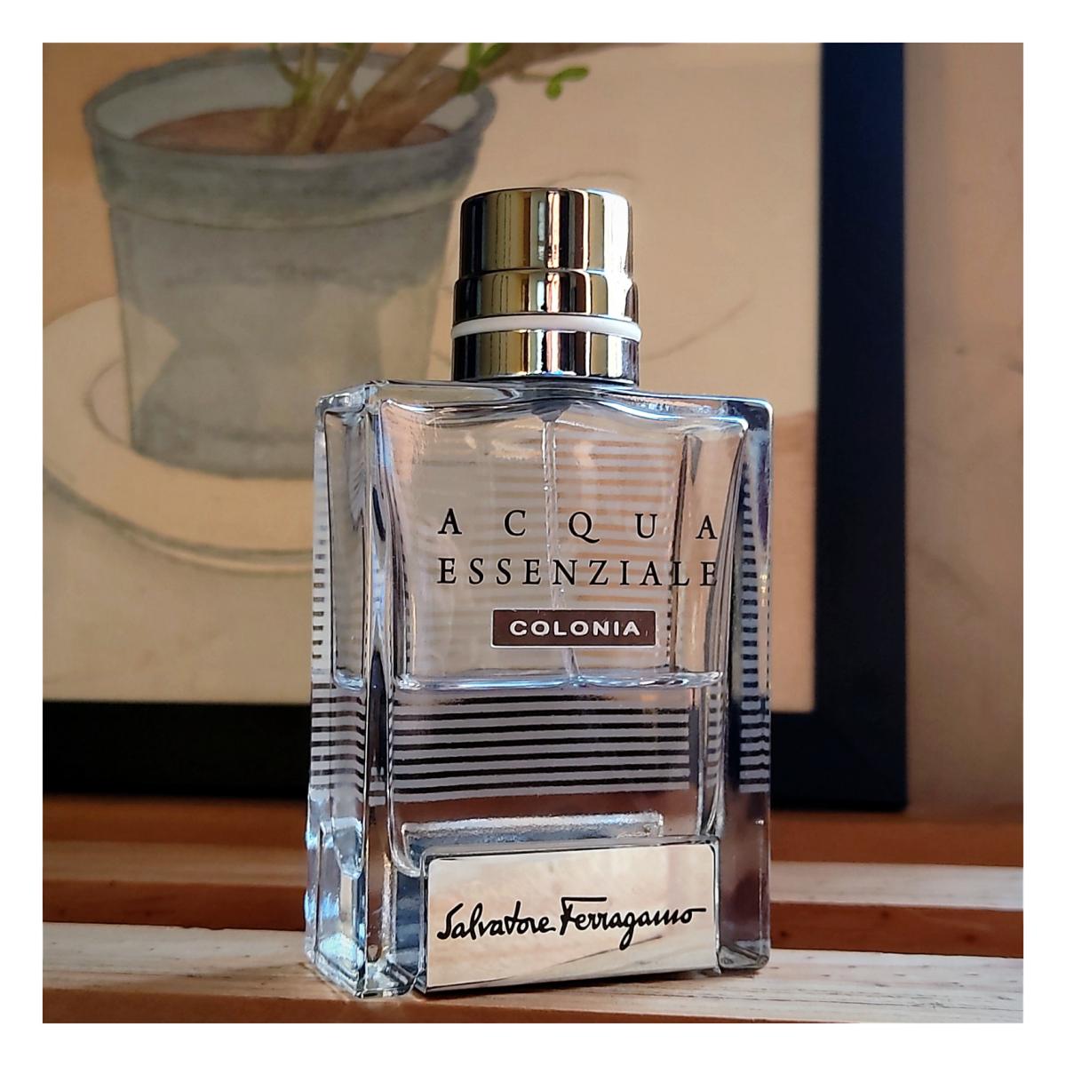 عطر ادکلن آکوا اسنزیاله کولونیا سالواتوره فراگامو - Acqua Essenziale Colonia Salvatore Ferragamo - بررسی، قیمت و خرید