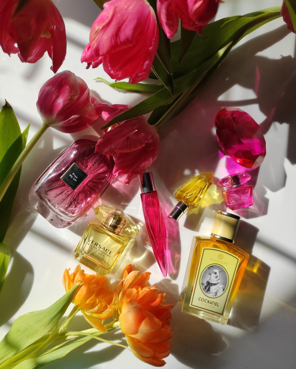 عطر ادکلن کاکاتیل زولوجیست پرفیومز - Cockatiel Zoologist Perfumes - بررسی، قیمت و خرید