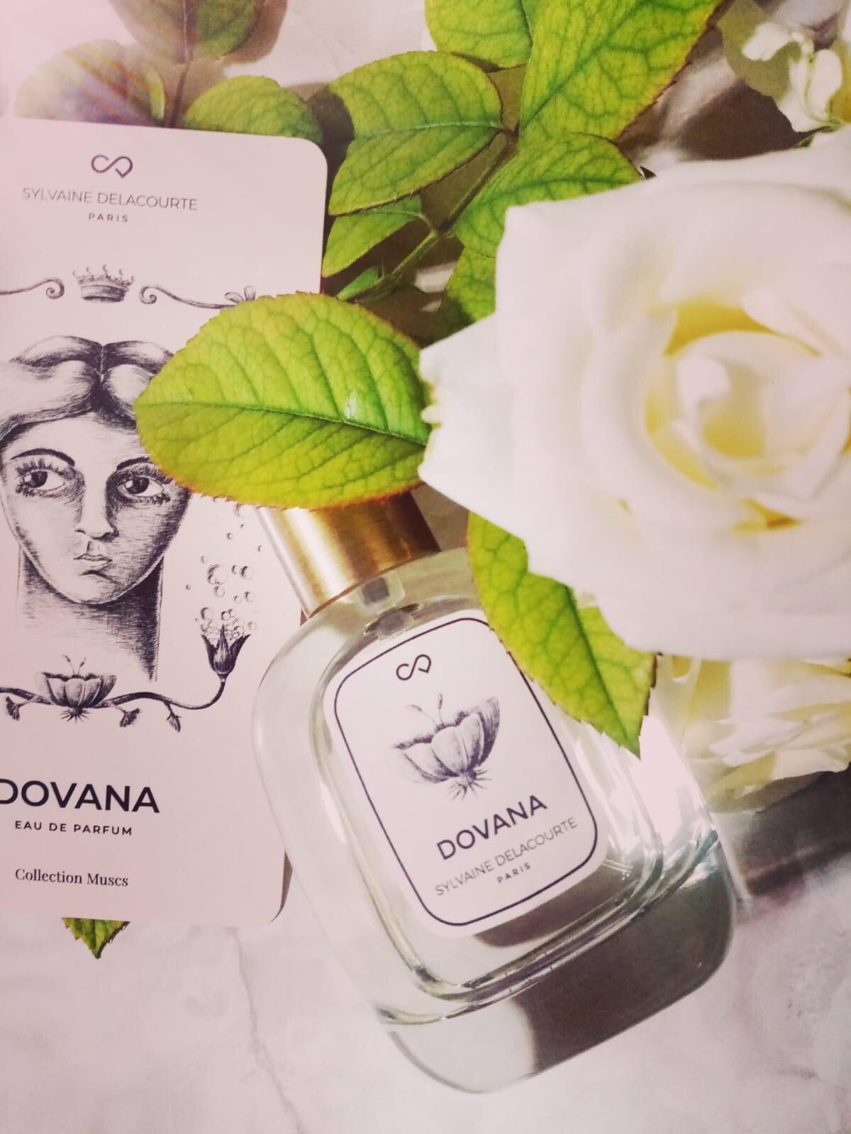 عطر ادکلن دووانا سیلوان دولاکورت - Dovana Sylvaine Delacourte - بررسی، قیمت و خرید
