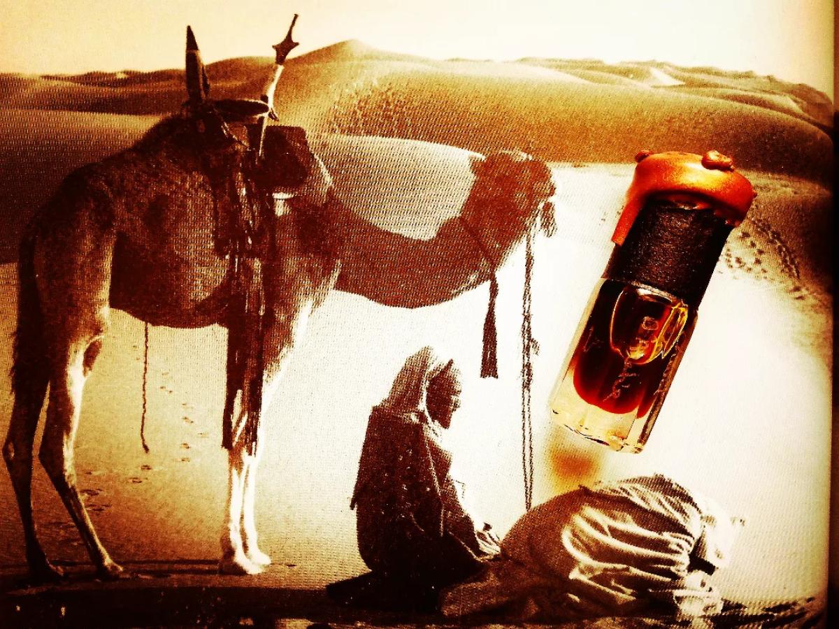 عطر ادکلن شوالدورابی سلطان پاشا عطارز - Cheval d'Arabie Sultan Pasha Attars - بررسی، قیمت و خرید