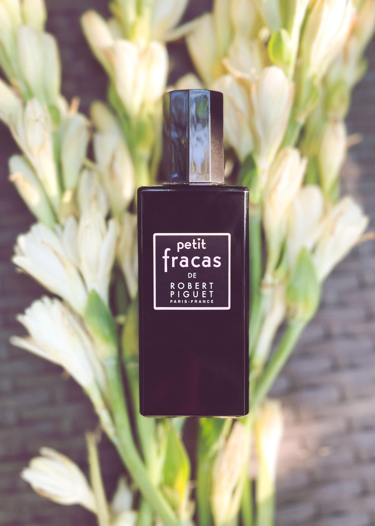 عطر ادکلن پتی فراکاس رابرت پیگه - Petit Fracas Robert Piguet - بررسی، قیمت و خرید