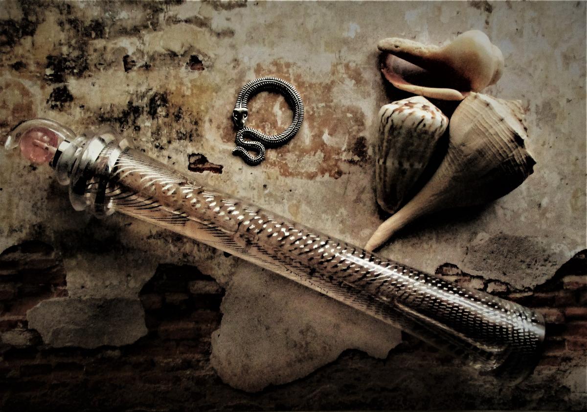 عطر ادکلن روبرتو کاوالی روبرتو کاوالی - Roberto Cavalli Roberto Cavalli - بررسی، قیمت و خرید