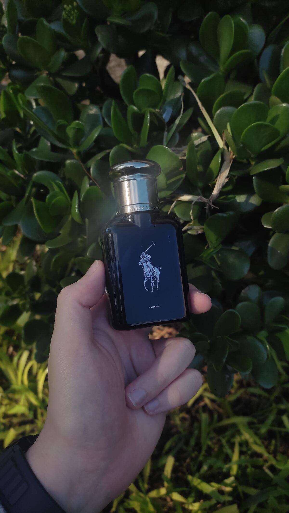 عطر ادکلن پولو بلو پرفیوم رالف لورن - Polo Blue Parfum Ralph Lauren - بررسی، قیمت و خرید