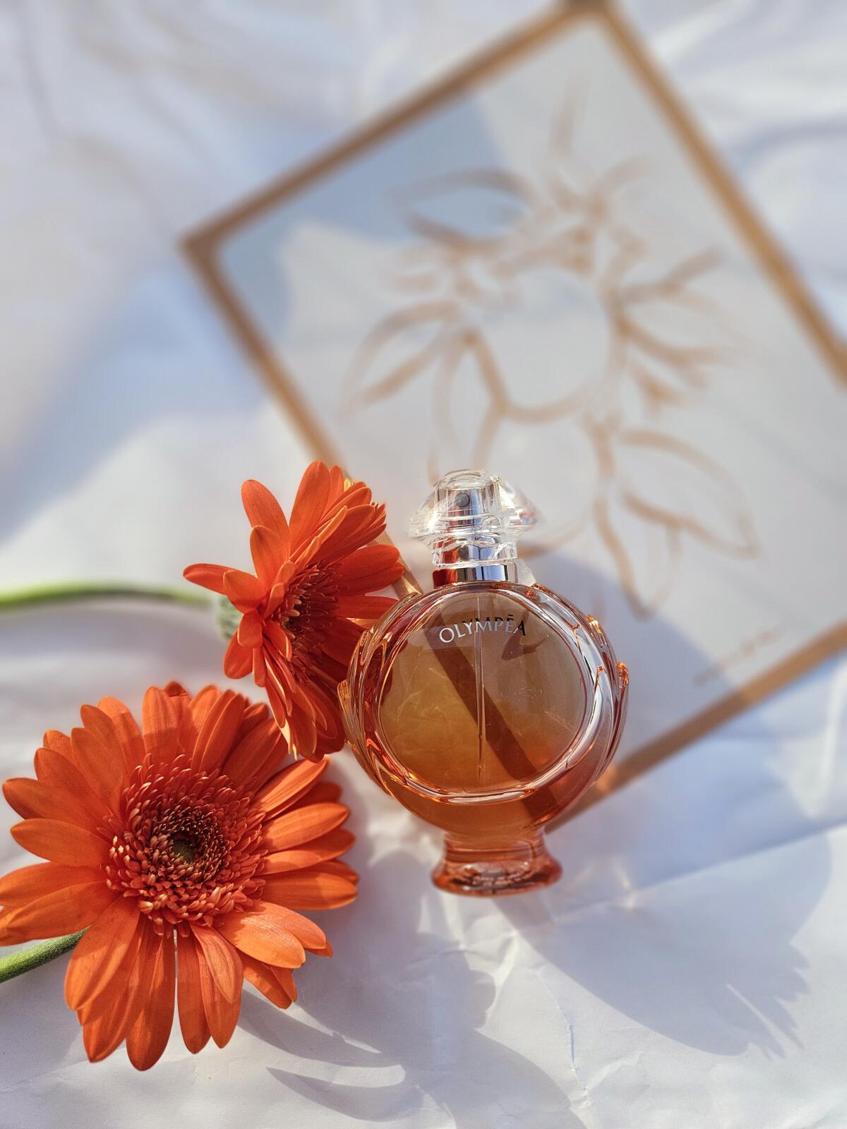 عطر ادکلن اولیمپیا آکوا او دو پارفوم لجق رابان - Olympéa Aqua Eau de Parfum Légère Rabanne - بررسی، قیمت و خرید