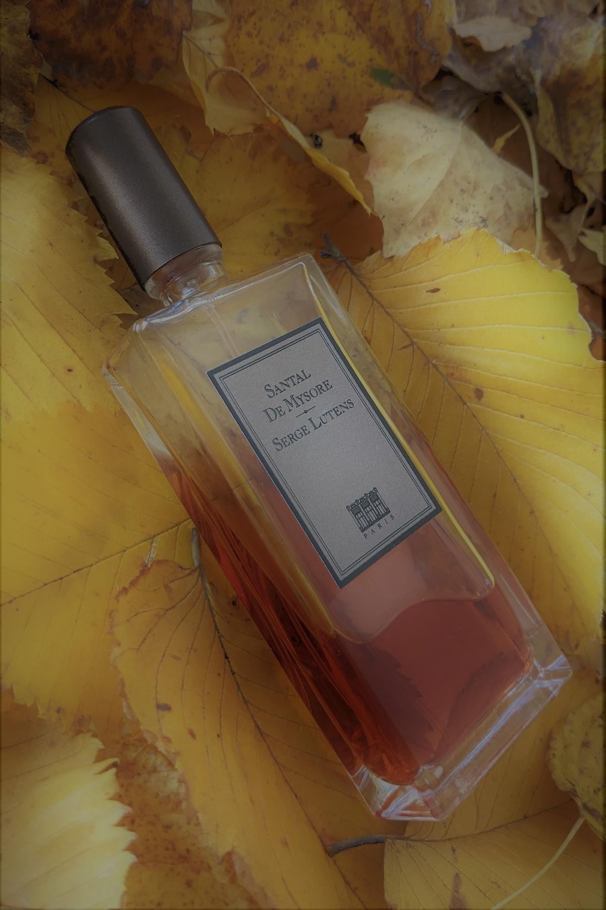 عطر ادکلن سانتال د میسور سرژ لوتنس - Santal de Mysore Serge Lutens - بررسی، قیمت و خرید