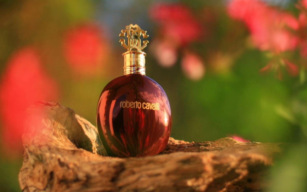 عطر ادکلن روبرتو کاوالی تایگر عود روبرتو کاوالی - Roberto Cavalli Tiger Oud Roberto Cavalli - بررسی، قیمت و خرید