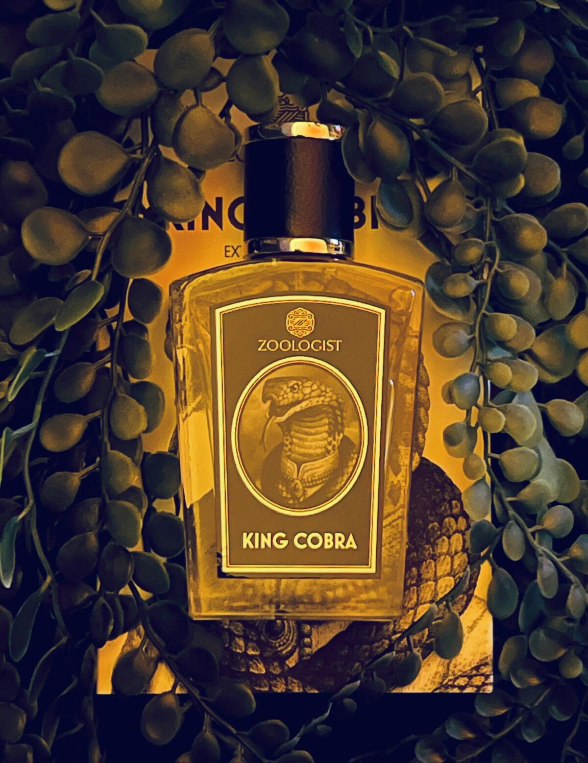 عطر ادکلن کینگ کبرا زولوجیست پرفیومز - King Cobra Zoologist Perfumes - بررسی، قیمت و خرید