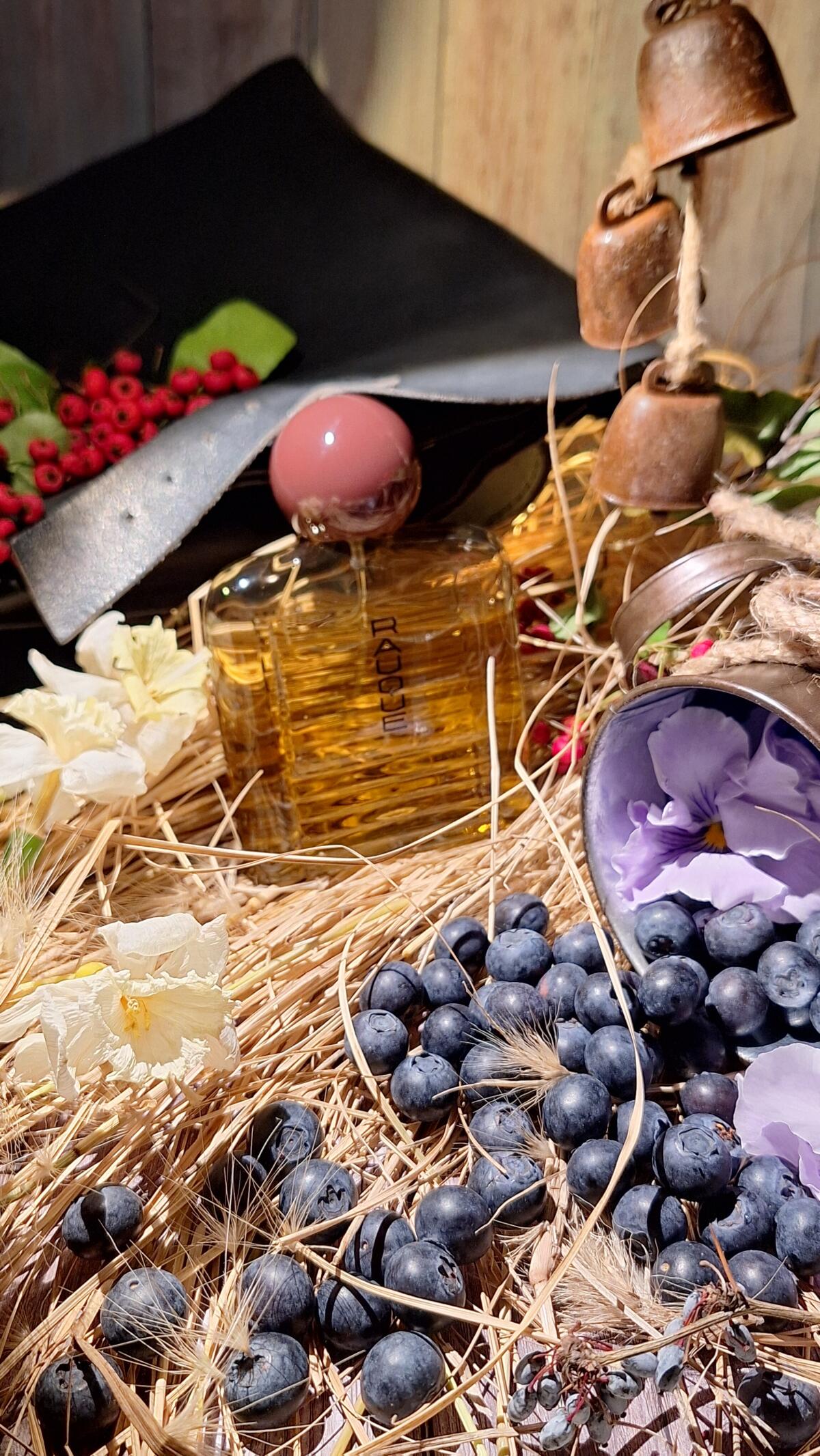 عطر ادکلن راوک روبرتو گریگو - Rauque Roberto Greco - بررسی، قیمت و خرید