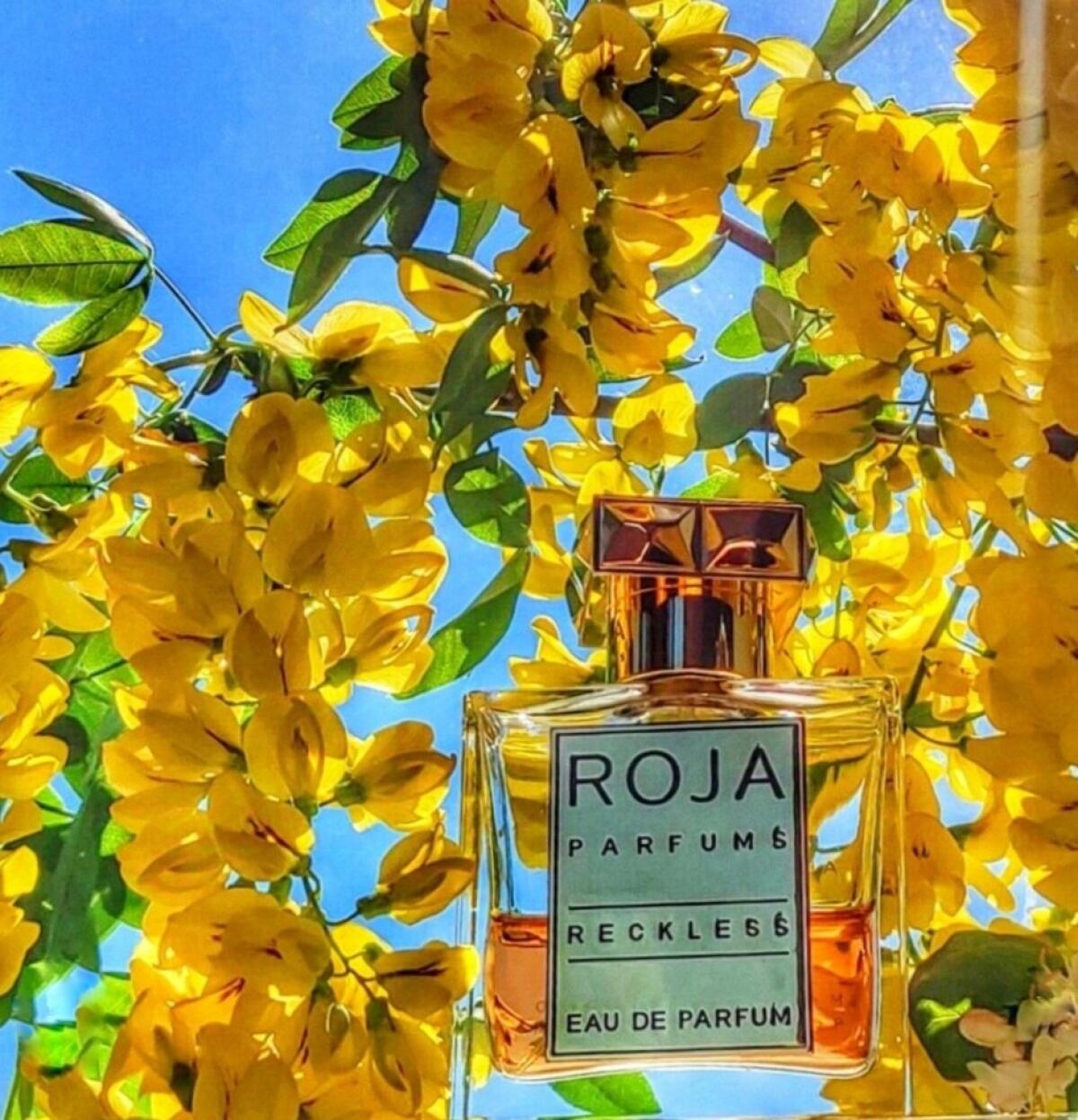 عطر ادکلن رِکلِس روجا داو - Reckless Roja Dove - بررسی، قیمت و خرید