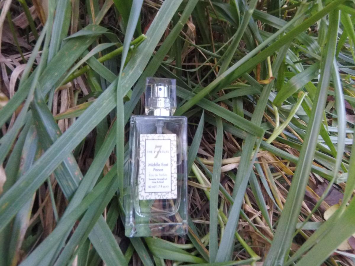 عطر ادکلن میدل ایست پیس د سون ویرچوز - Middle East Peace The 7 Virtues - بررسی، قیمت و خرید