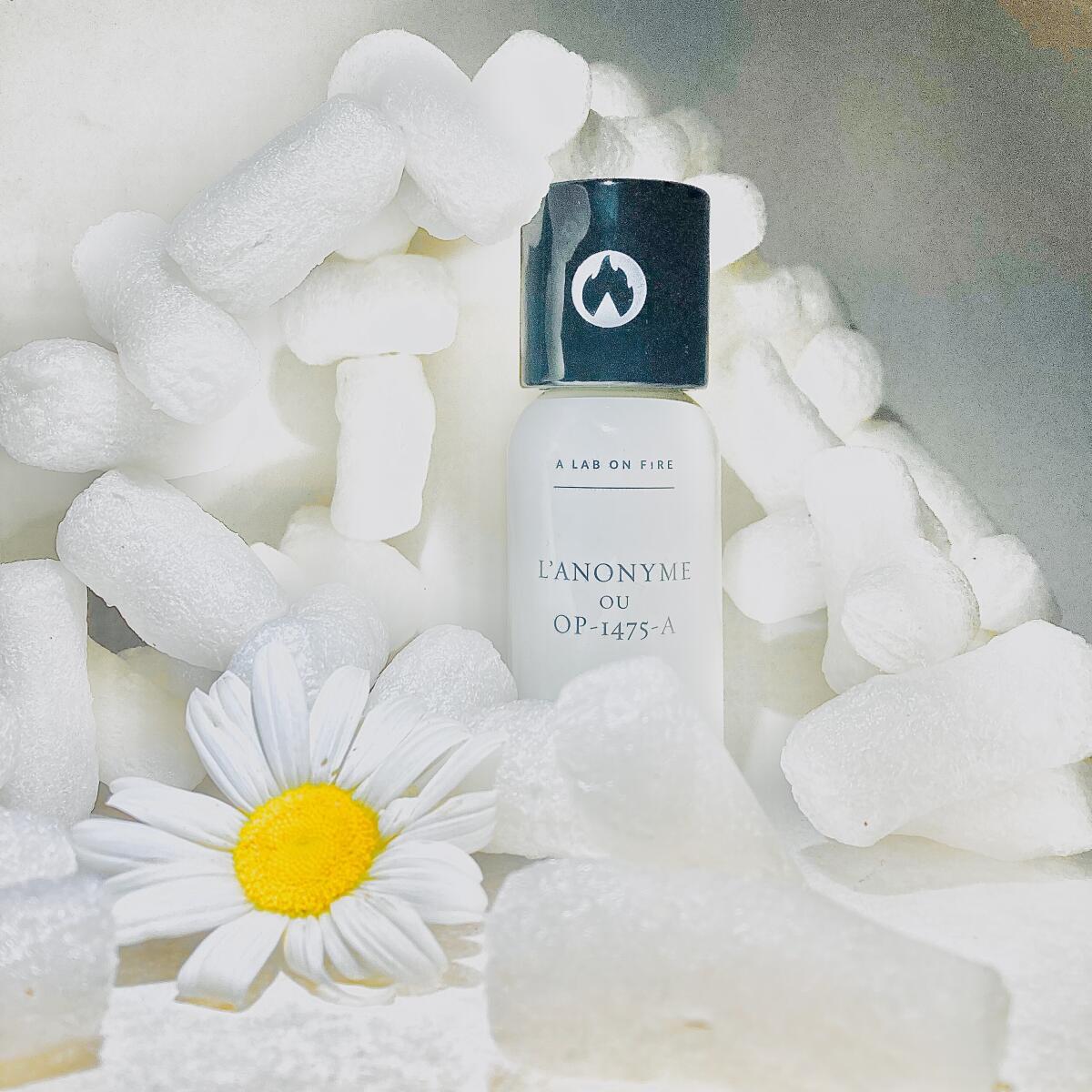 عطر ادکلن لانانیم او پی چهارده هفتاد و پنج آ وات وی دو ایز سیکرت - L'Anonyme ou OP-1475-A What We Do Is Secret - بررسی، قیمت و خرید