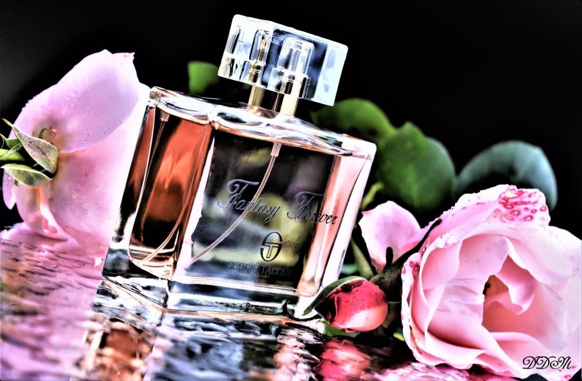 عطر ادکلن فنتسی فورِوِر سرجیو تاچینی - Fantasy Forever Sergio Tacchini - بررسی، قیمت و خرید
