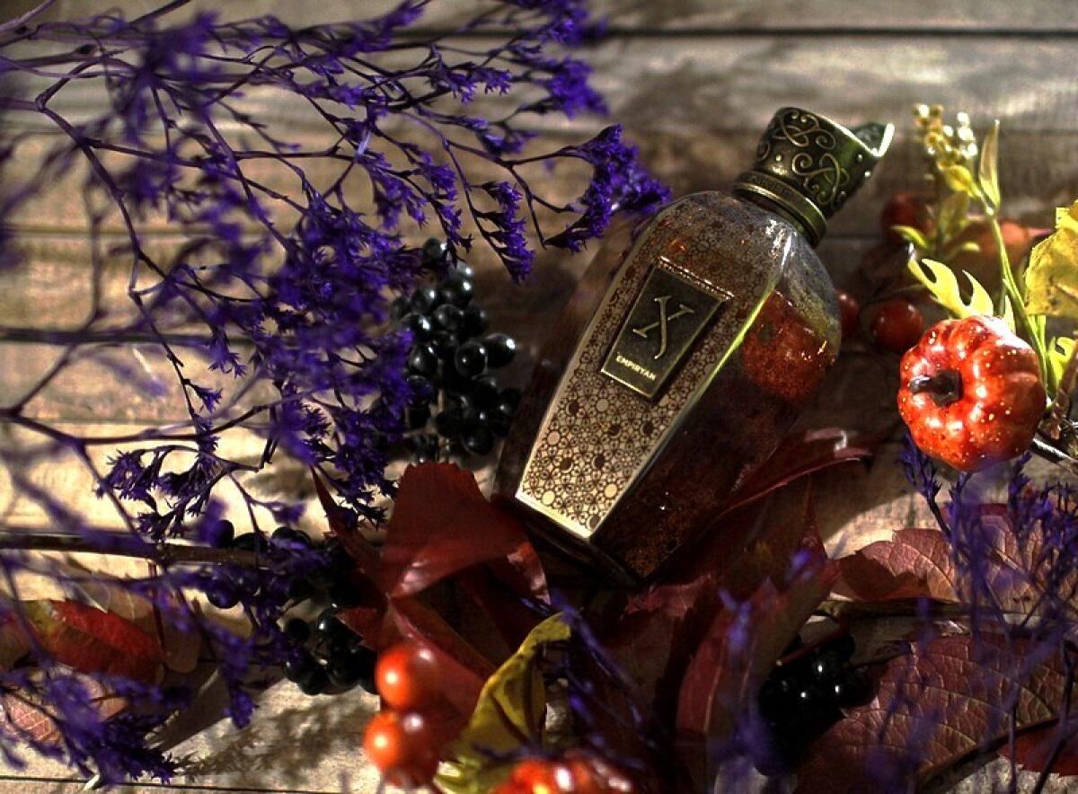 عطر ادکلن امپایریان زرجوف - Empiryan Xerjoff - بررسی، قیمت و خرید