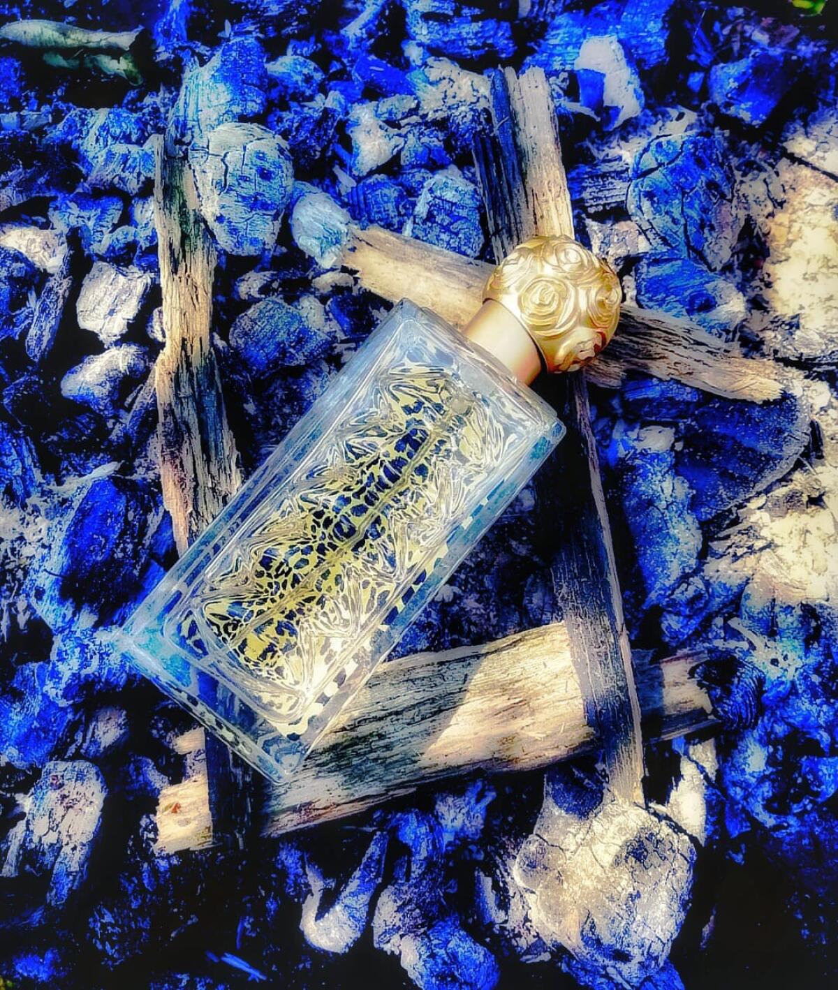 عطر ادکلن دالی وایلد سالوادور دالی - Dali Wild Salvador Dali - بررسی، قیمت و خرید