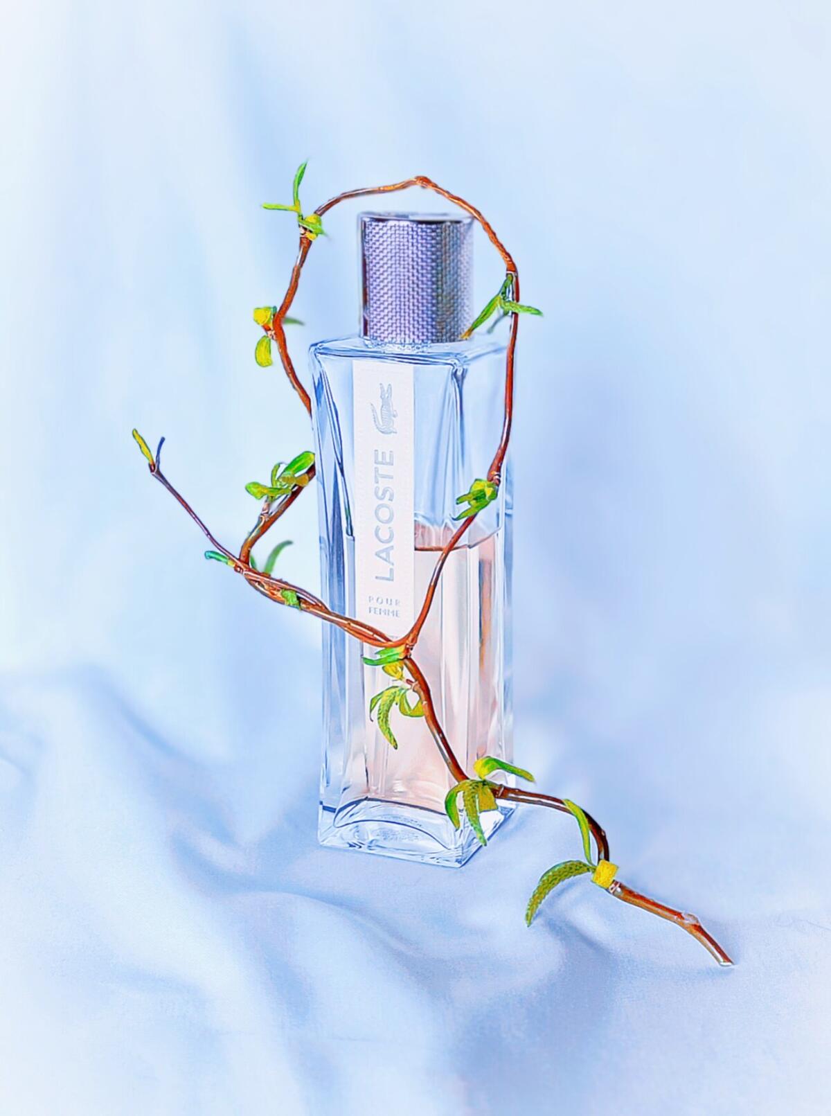 عطر ادکلن لاکوست پور فم لاکوست فریگرنسز - Lacoste Pour Femme Lacoste Fragrances - بررسی، قیمت و خرید