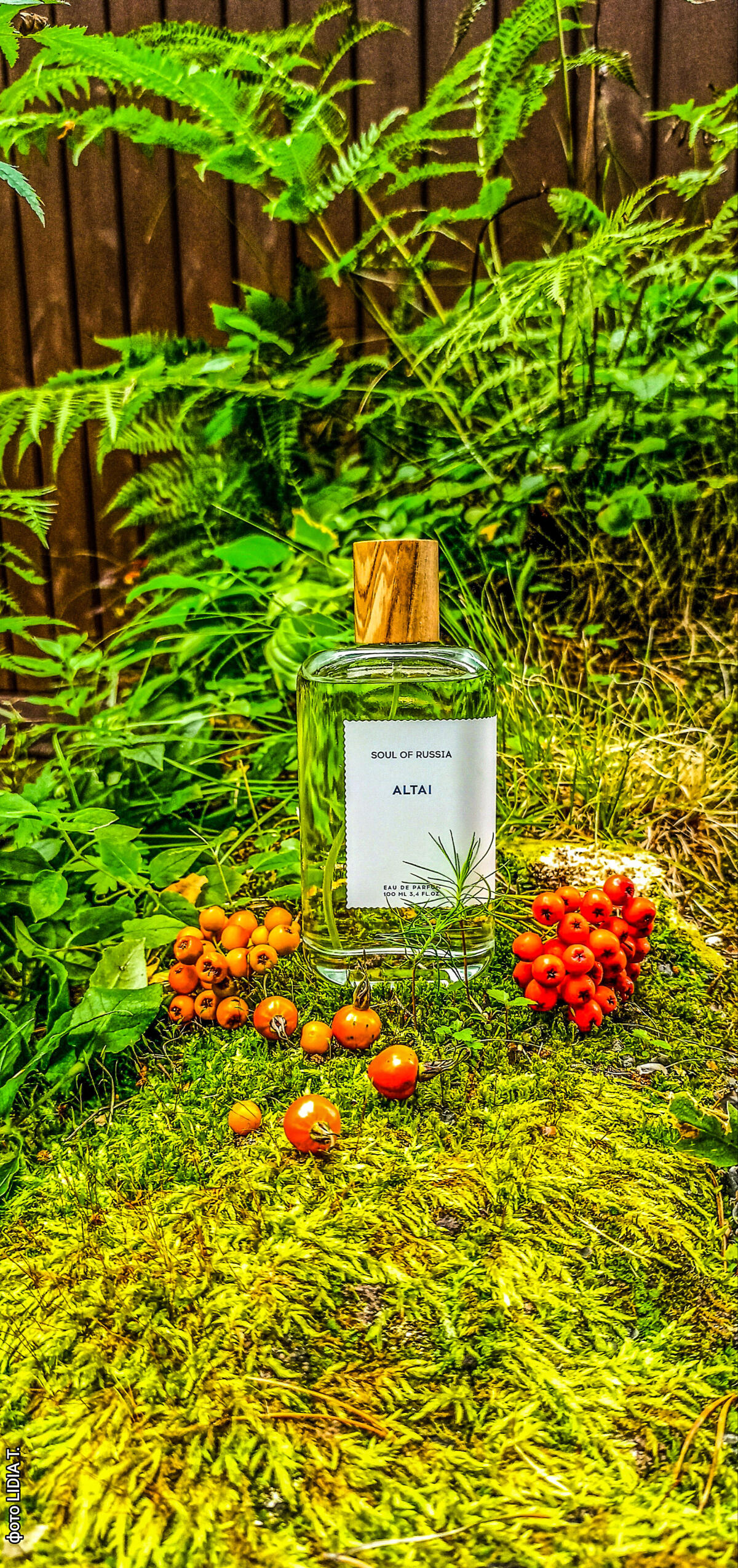 عطر ادکلن آلتای سول آو راشا - Altai Soul of Russia - بررسی، قیمت و خرید