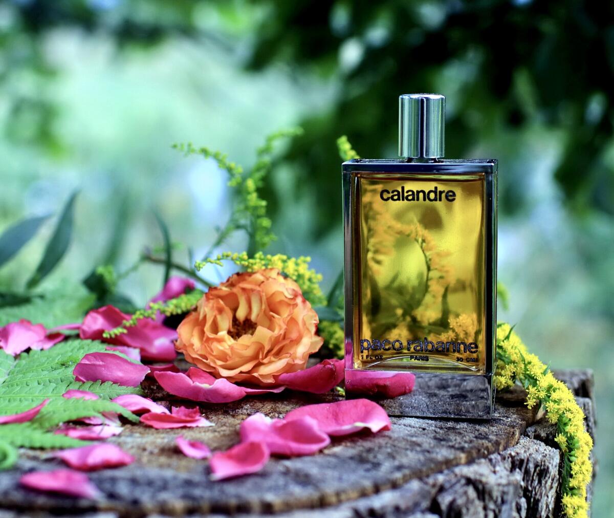 عطر ادکلن کالاندره رابان - Calandre Rabanne - بررسی، قیمت و خرید