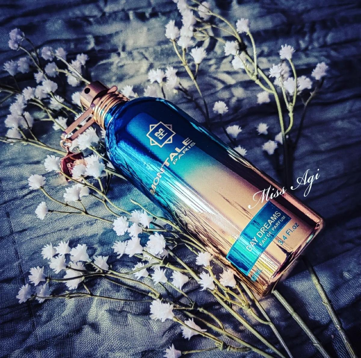 عطر ادکلن دی دریمز مونتال - Day Dreams Montale - بررسی، قیمت و خرید