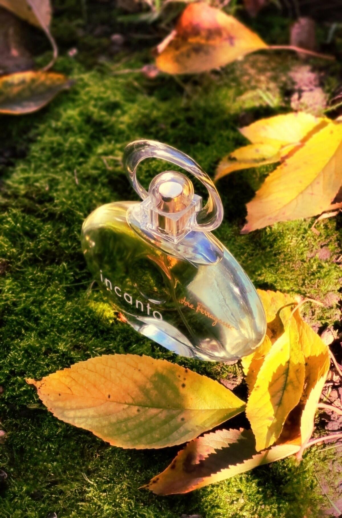 عطر ادکلن اینکنتو سالواتوره فراگامو - Incanto Salvatore Ferragamo - بررسی، قیمت و خرید