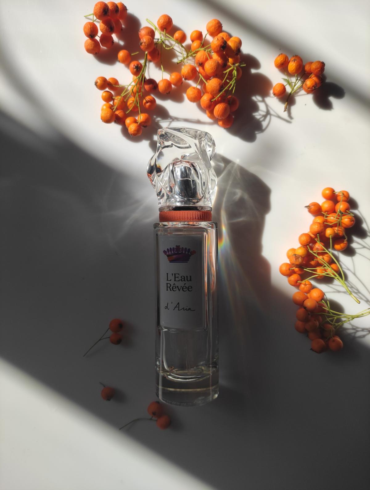 عطر ادکلن لئو رِوه دِ آریا سیسلی - L'Eau Rêvée D'Aria Sisley - بررسی، قیمت و خرید