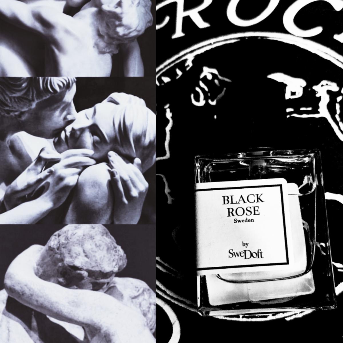 عطر ادکلن بلک رز سوئدافت - Black Rose SweDoft - بررسی، قیمت و خرید