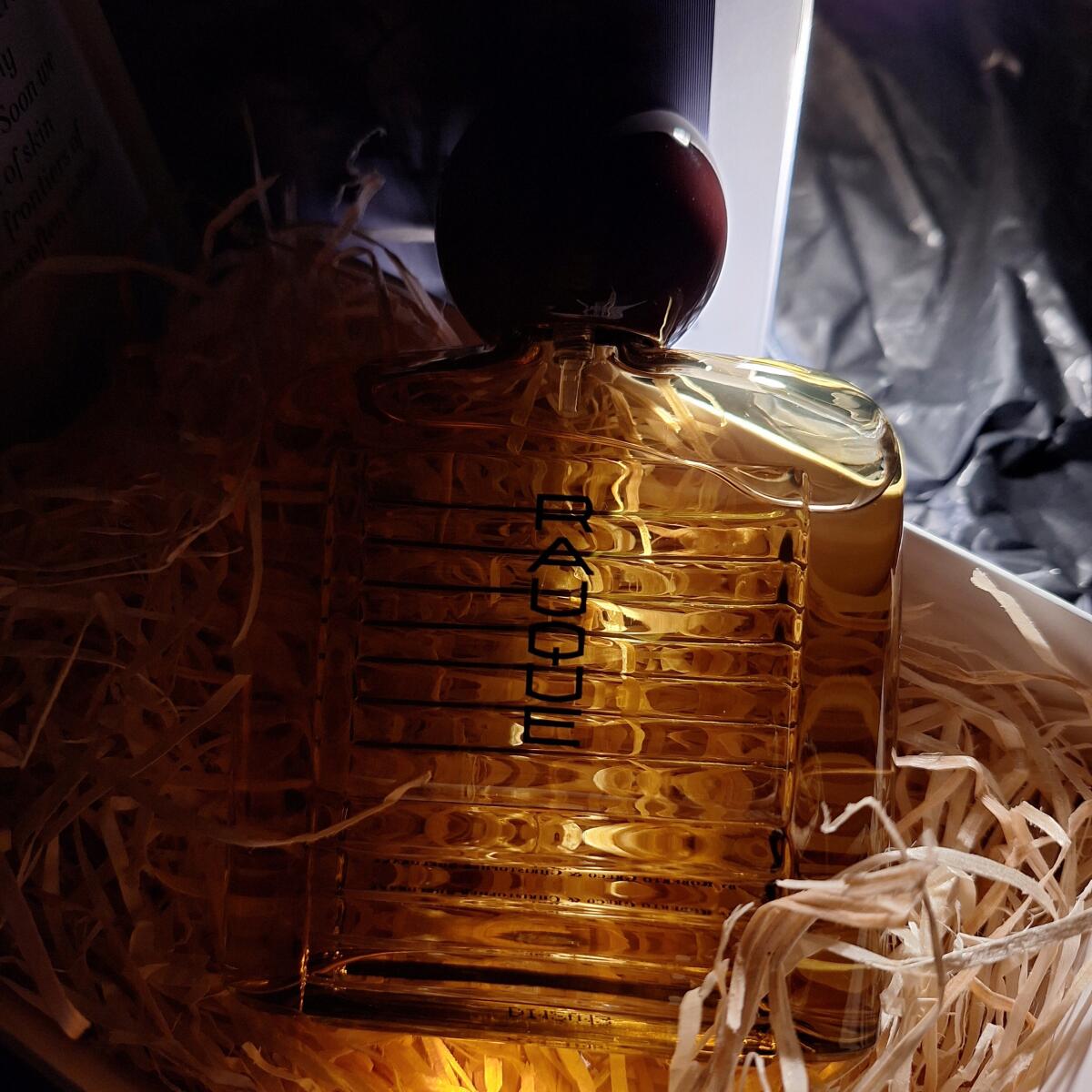 عطر ادکلن راوک روبرتو گریگو - Rauque Roberto Greco - بررسی، قیمت و خرید