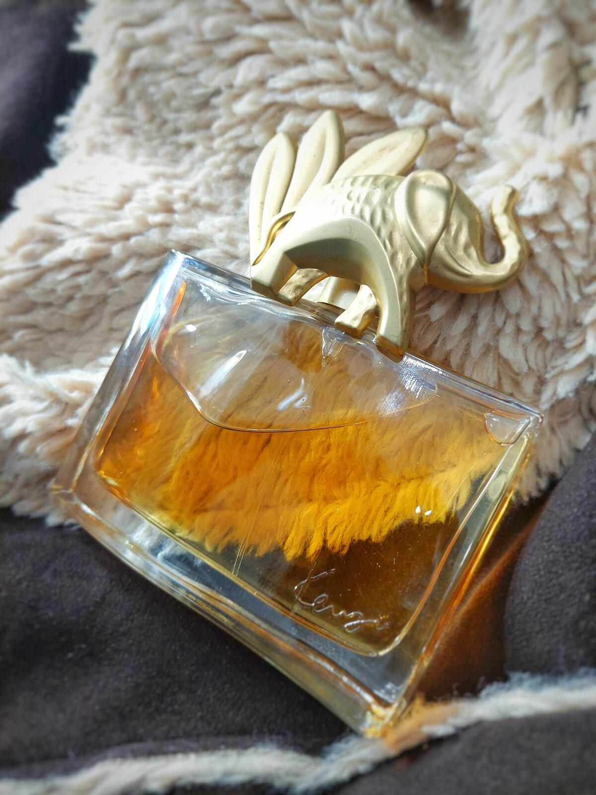 عطر ادکلن چای لاته ویکتوریا سیکرت - Chai Latte Victoria's Secret - بررسی، قیمت و خرید