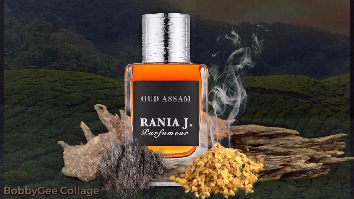 عطر ادکلن عود آسام رانیه جِی - Oud Assam Rania J - بررسی، قیمت و خرید