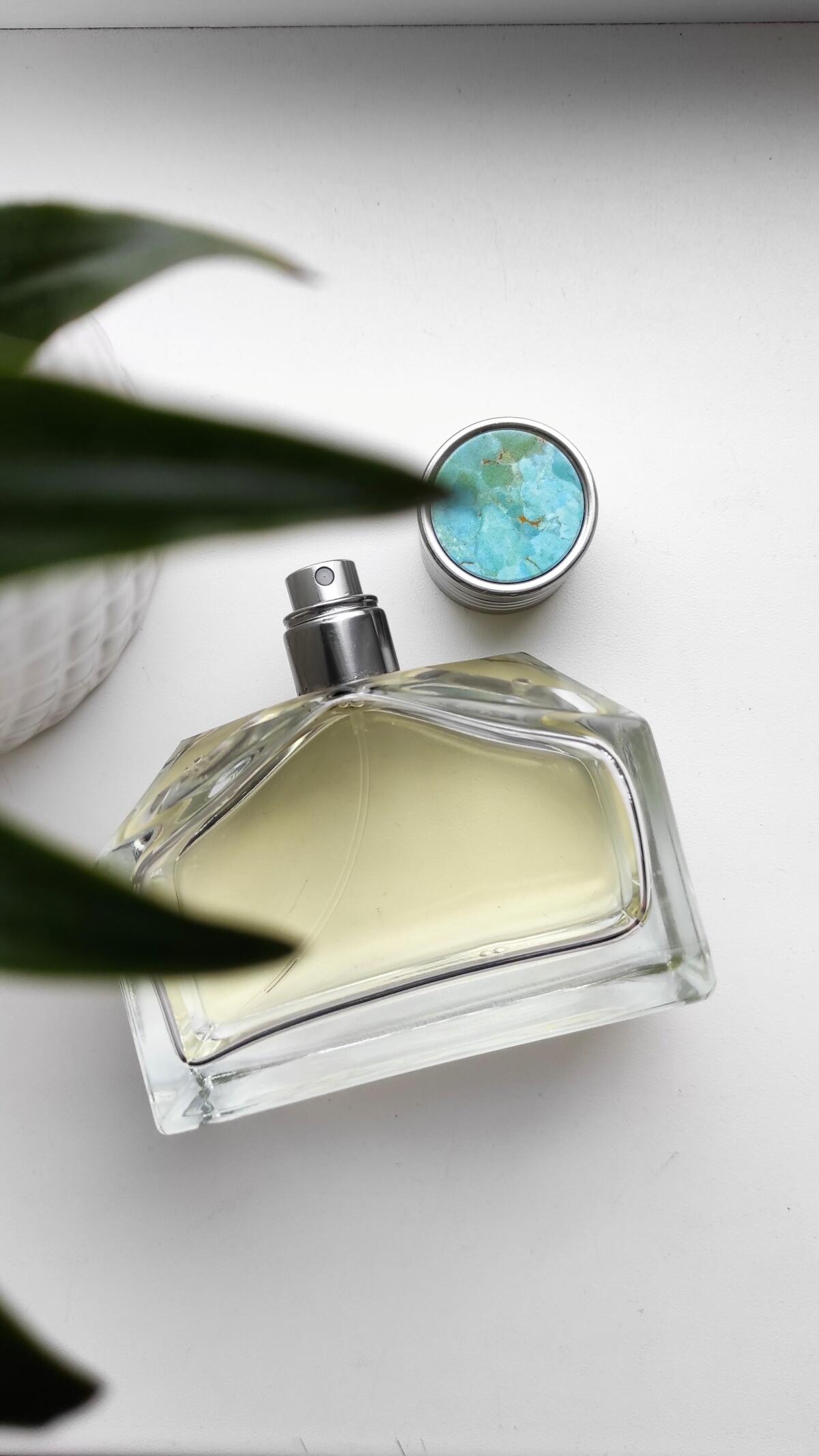 عطر ادکلن پیور تورکوییز رالف لورن - Pure Turquoise Ralph Lauren - بررسی، قیمت و خرید