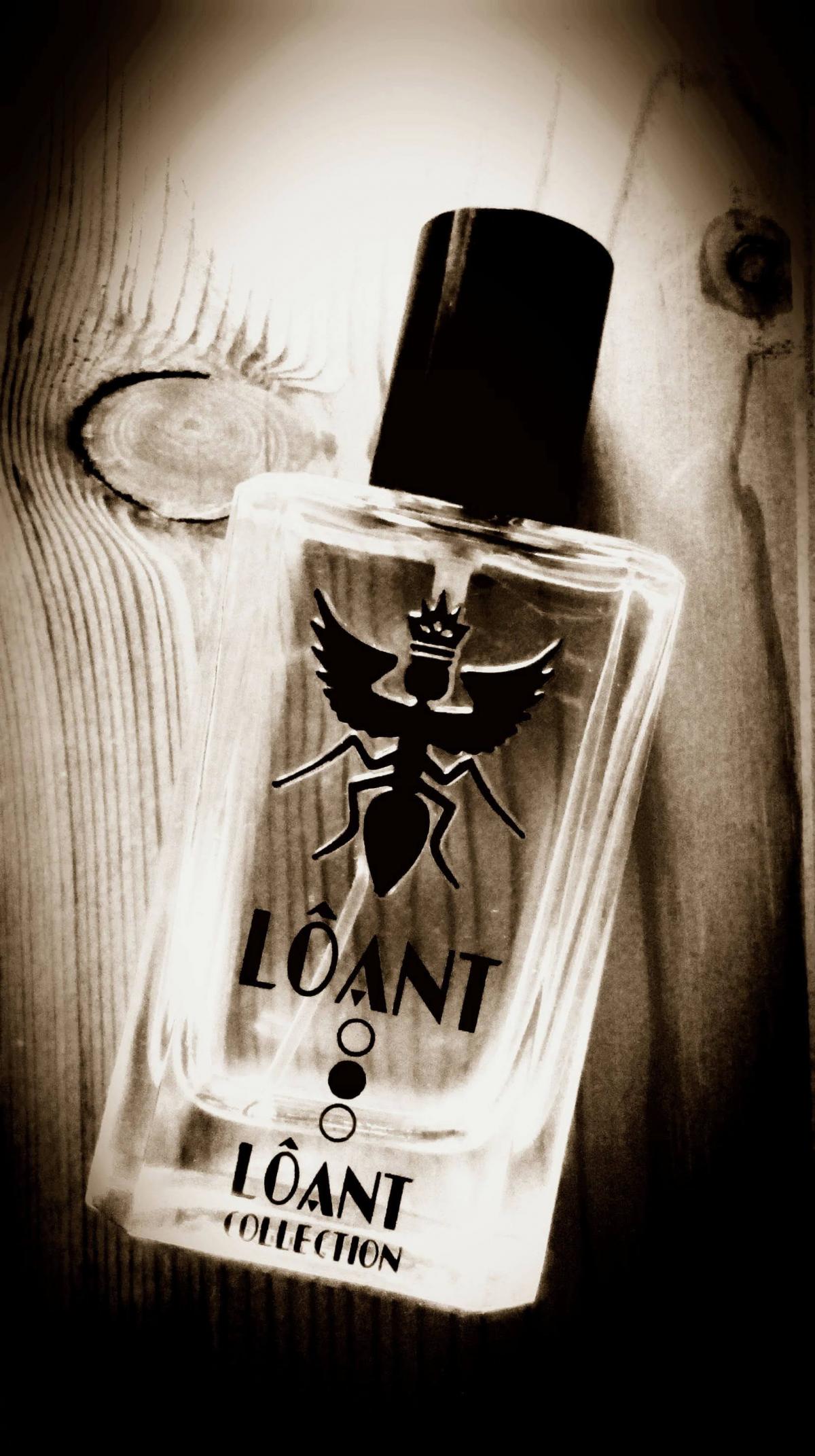 عطر ادکلن لونت سانتی بورگاس - LOANT Santi Burgas - بررسی، قیمت و خرید