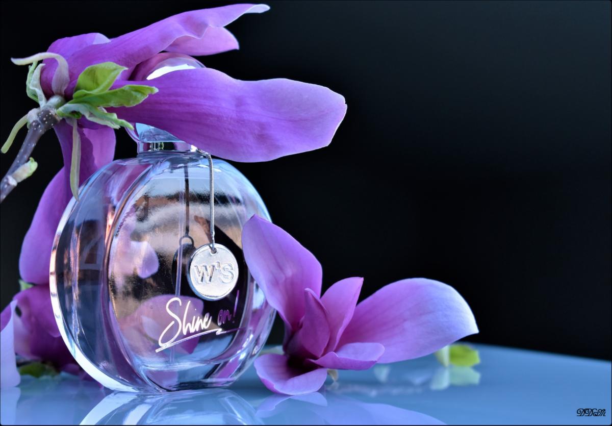 عطر ادکلن شاین اُن ویمن سیکرت - Shine On! Women Secret - بررسی، قیمت و خرید