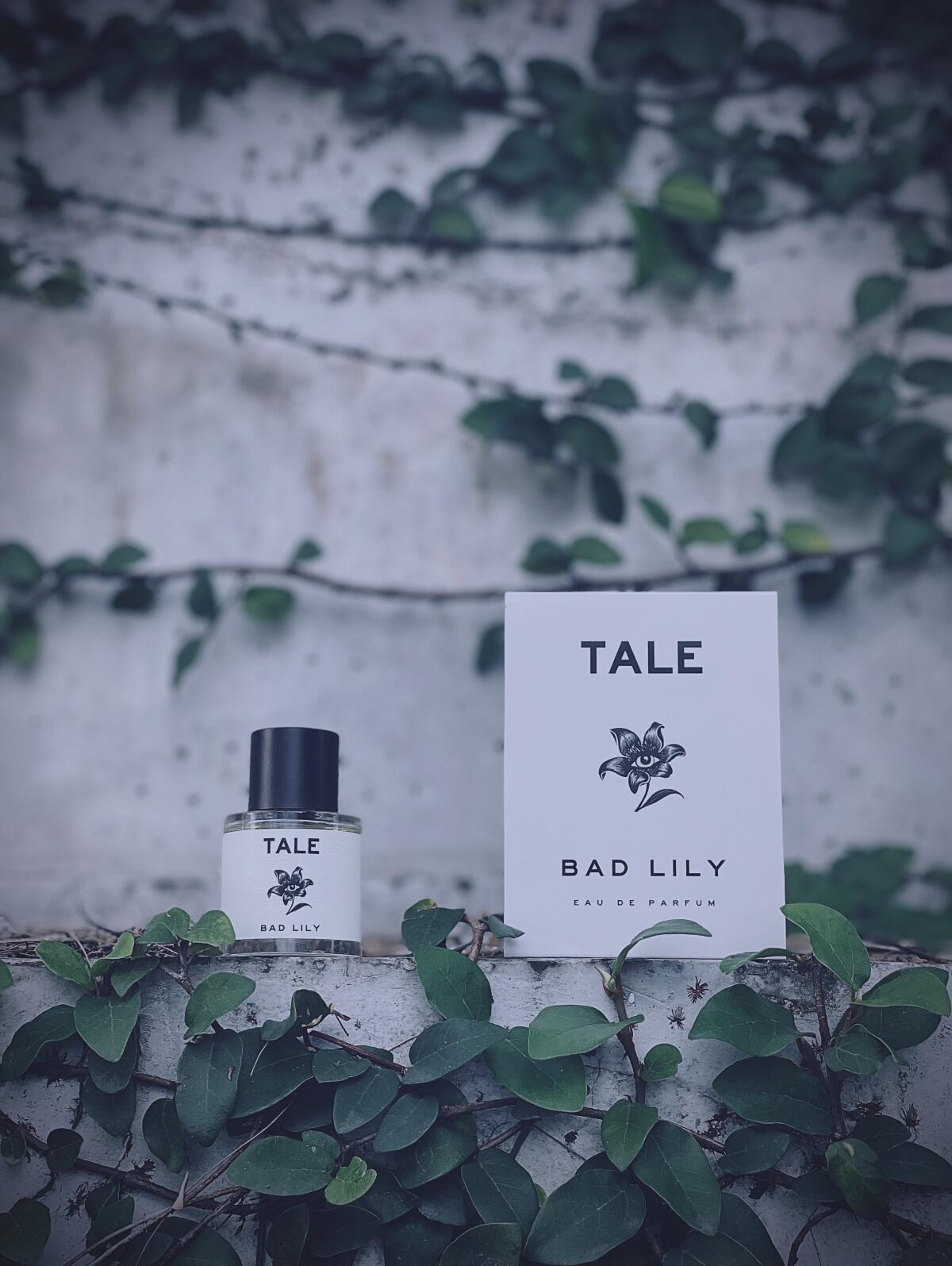 عطر ادکلن بد لی تیل پارفوم - Bad Lily TALE Parfum - بررسی، قیمت و خرید