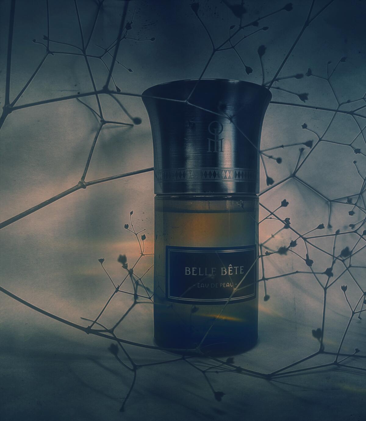 عطر ادکلن bel bet له لیکید ایماژینر - Belle Bete Les Liquides Imaginaires - بررسی، قیمت و خرید