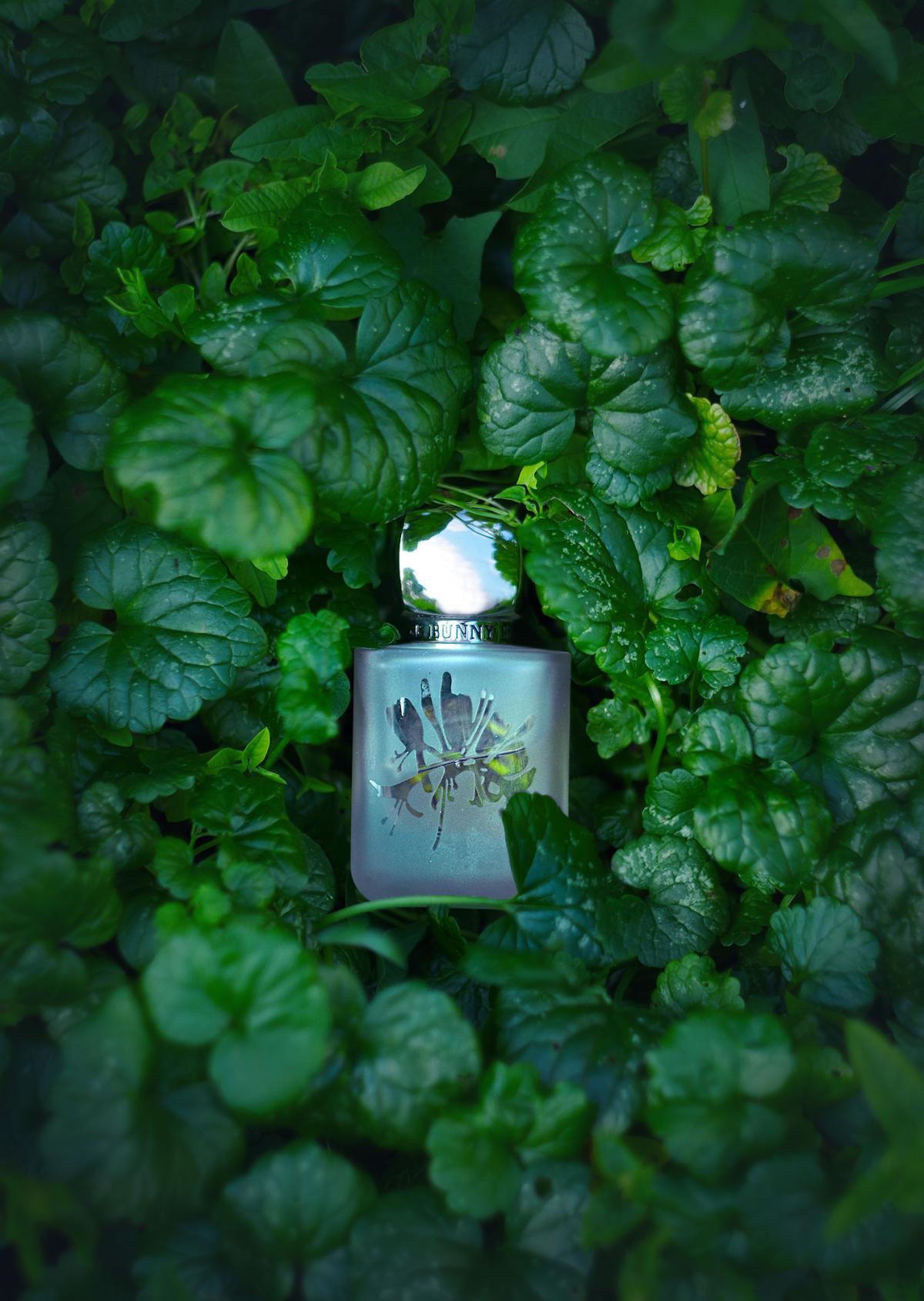 عطر ادکلن اینکانتیشن روژ بانی روژ - Incantation Rouge Bunny Rouge - بررسی، قیمت و خرید