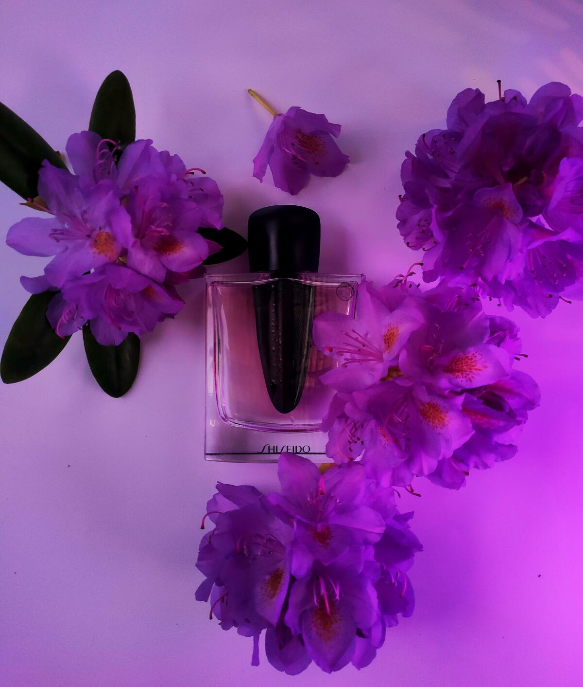 عطر ادکلن گینزا موراساکی شیسیدو - Ginza Murasaki Shiseido - بررسی، قیمت و خرید