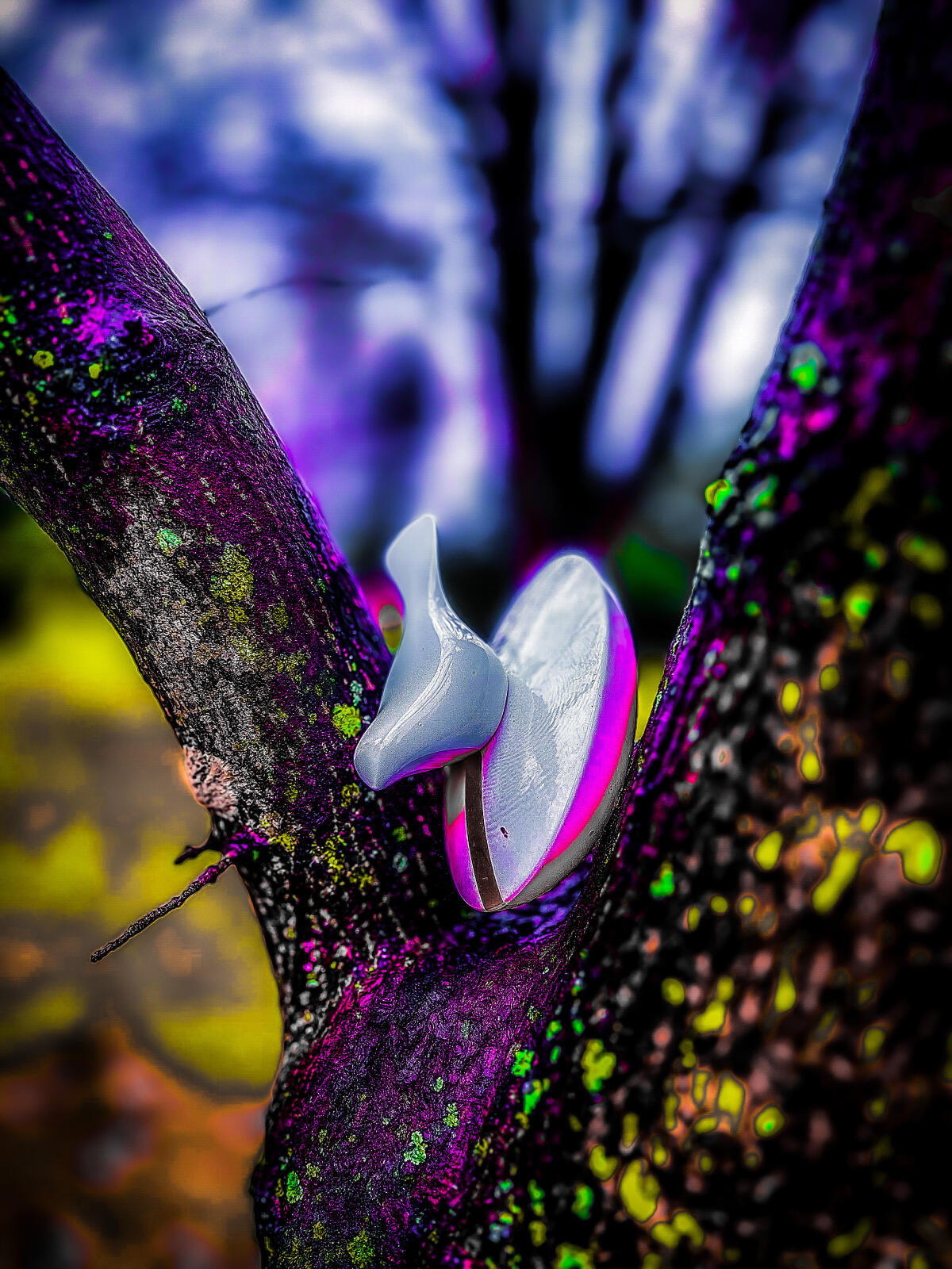 عطر ادکلن سکایرون اس فور پی - Skiron S4P - بررسی، قیمت و خرید