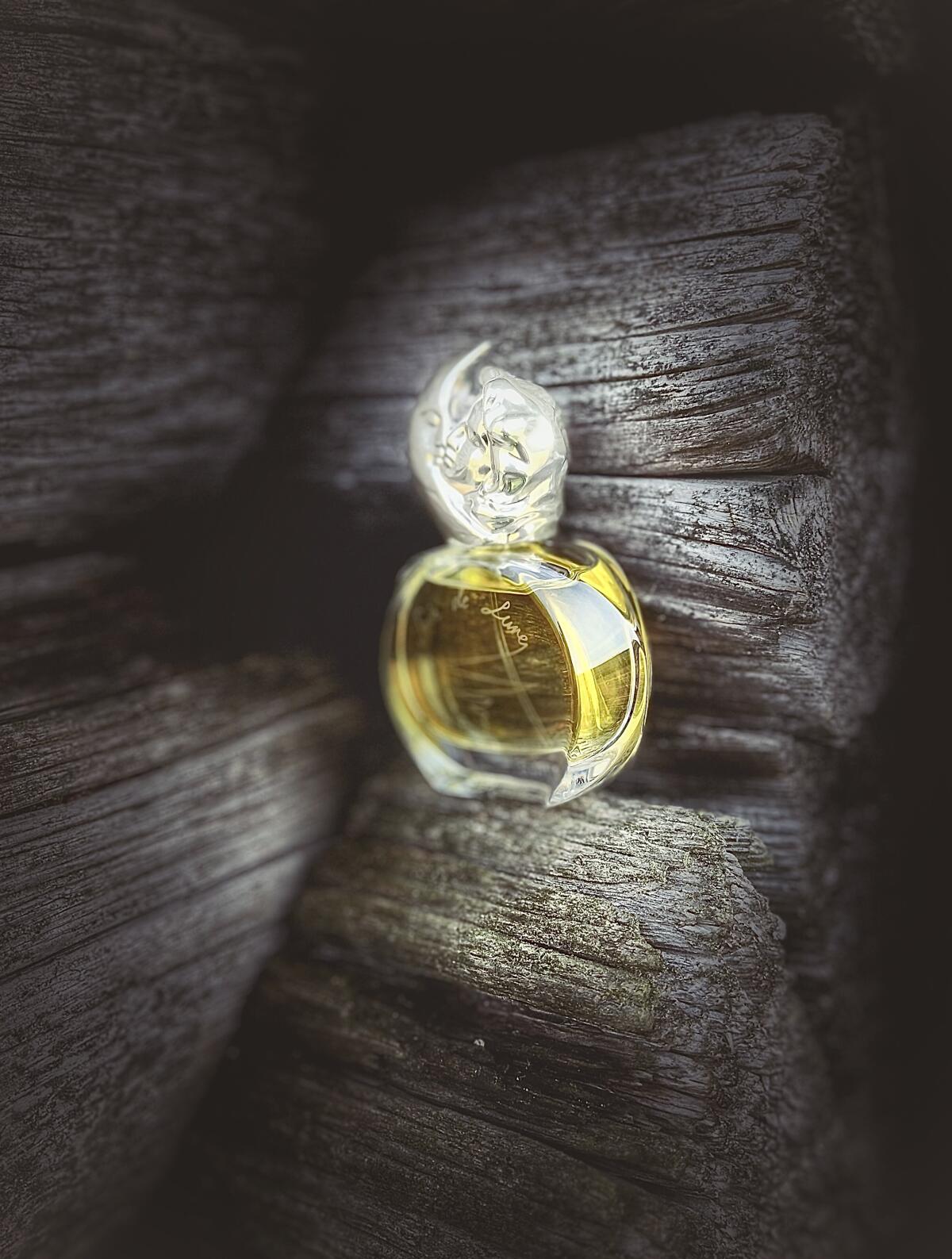 عطر ادکلن سغور د لون سیسلی - Soir de Lune Sisley - بررسی، قیمت و خرید