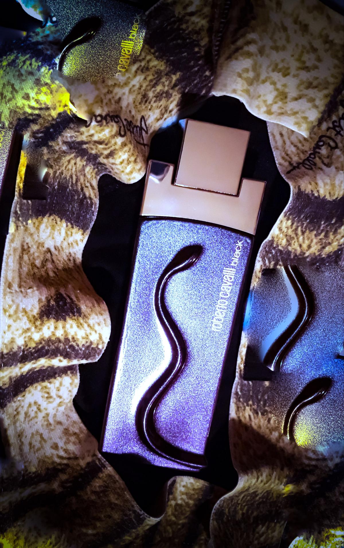 عطر ادکلن روبerto کاوالی بلک روبرتو کاوالی - Roberto Cavalli Black Roberto Cavalli - بررسی، قیمت و خرید