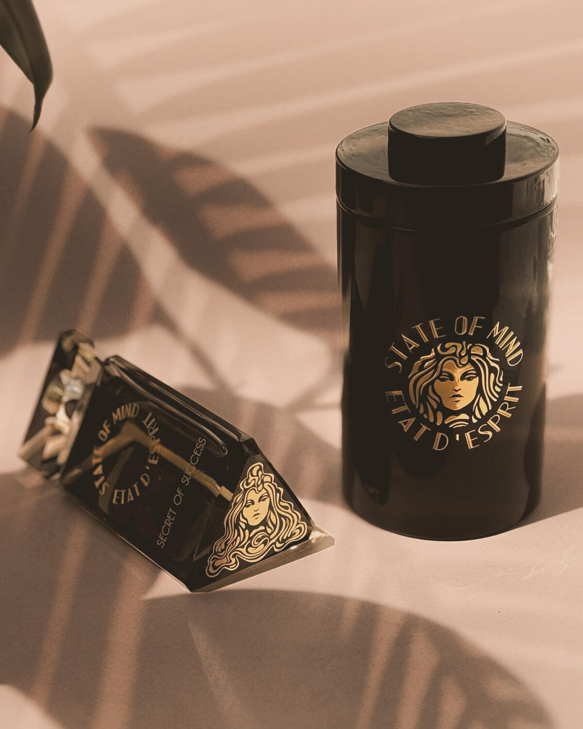 عطر ادکلن سیگرت آف ساچس استیت آو مایند - Secret of Success State of Mind - بررسی، قیمت و خرید