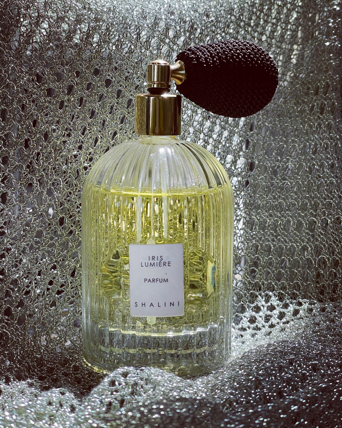 عطر ادکلن آیریس لومیر شالینی - Iris Lumière Shalini - بررسی، قیمت و خرید