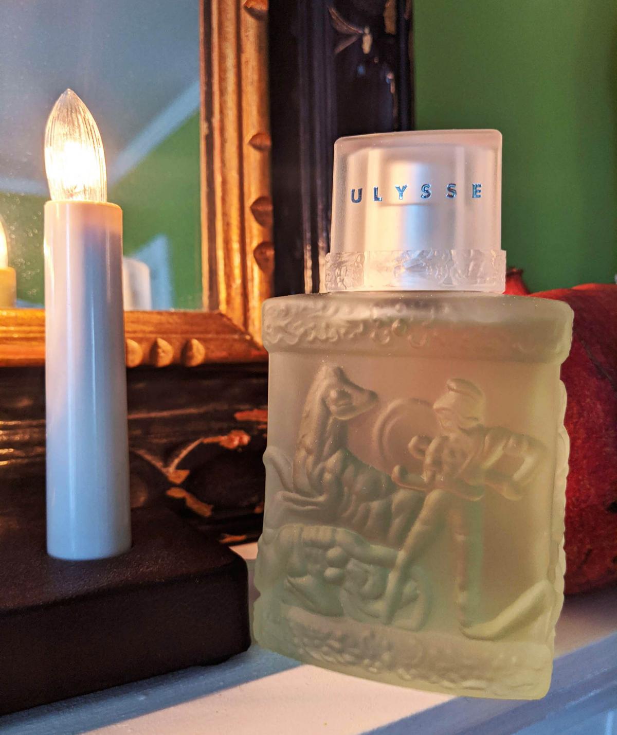 عطر ادکلن اولیس ویکی تیل - Ulysse Vicky Tiel - بررسی، قیمت و خرید