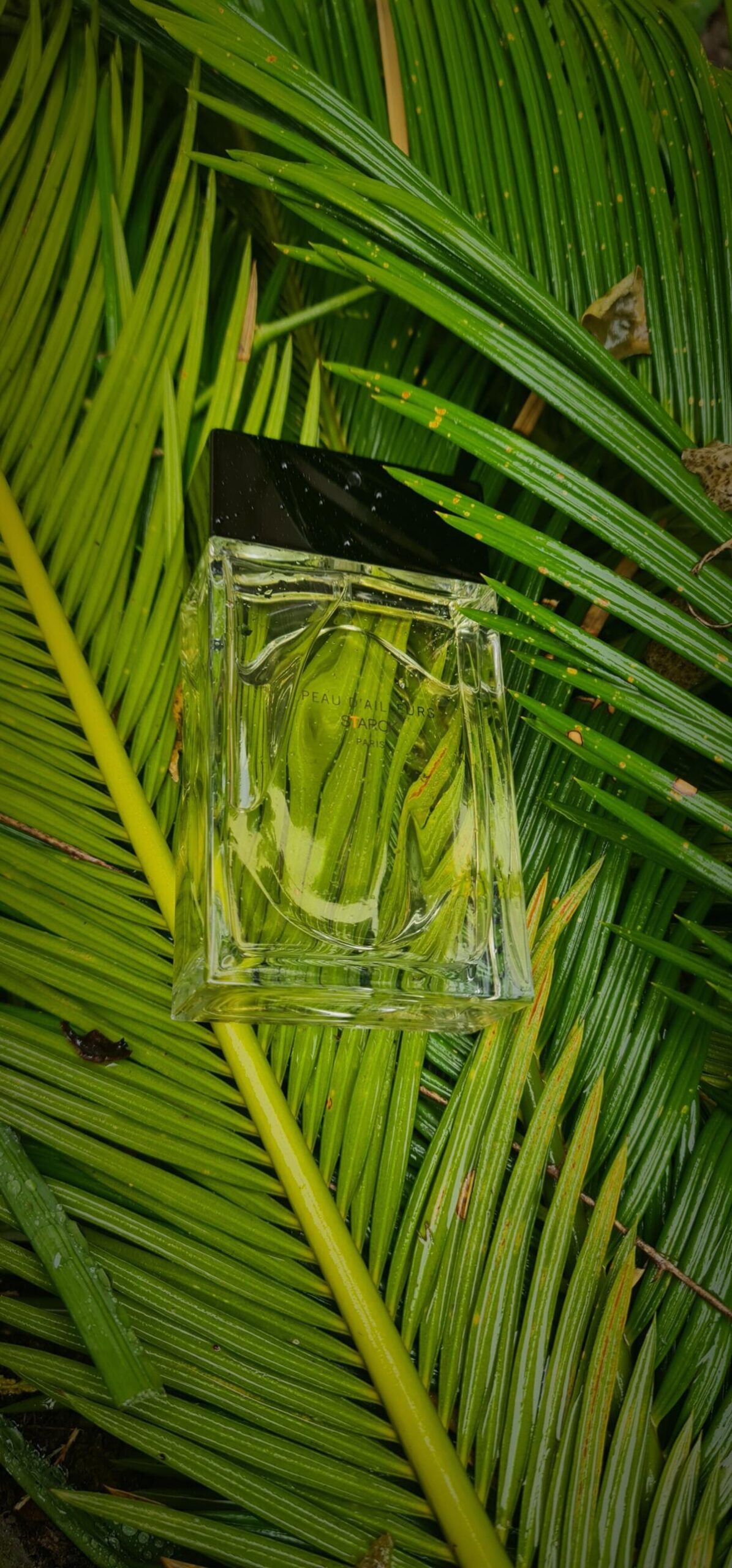 عطر ادکلن پو د الیور استارک - Peau d'Ailleurs Starck - بررسی، قیمت و خرید