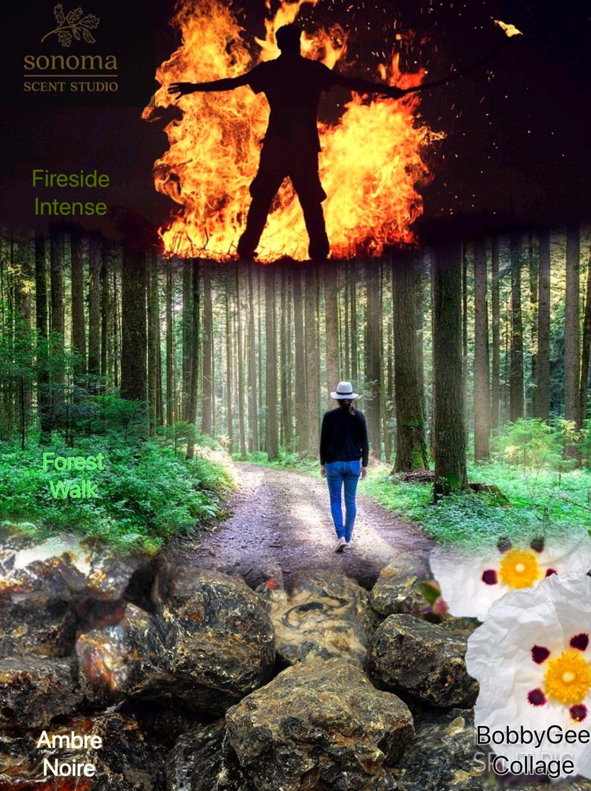 عطر ادکلن فورست واک سونوما سنت استودیو - Forest Walk Sonoma Scent Studio - بررسی، قیمت و خرید